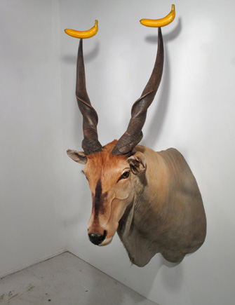 All tomorrow's parties, 2012, antelope taxidermy, bananas