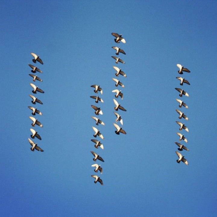 Flying formation