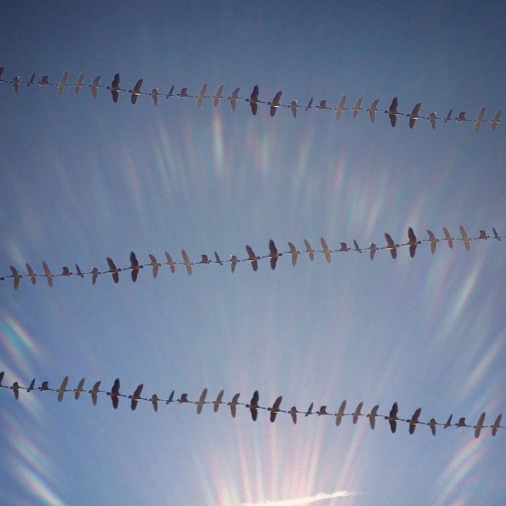 Flying formation